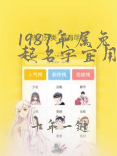 1987年属兔起名字宜用名字女孩