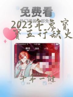 2023年兔宝宝五行缺火取名字女孩