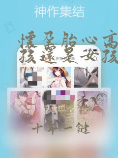 怀孕胎心高是男孩还是女孩