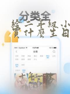 给二年级小女孩买什么生日礼物