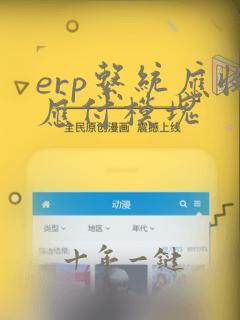 erp系统应收应付模块
