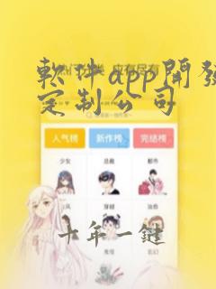 软件app开发定制公司