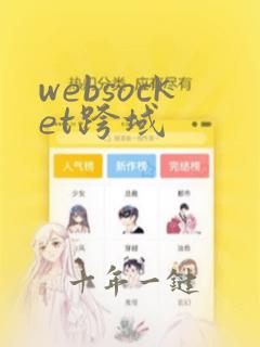 websocket跨域