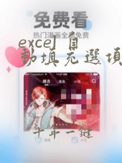 excel 自动填充选项