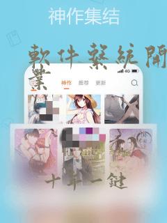 软件系统开发企业
