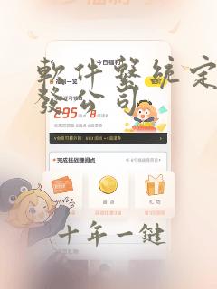 软件系统定制开发公司