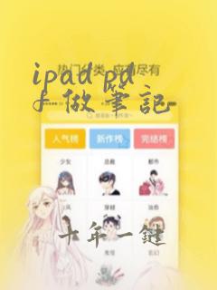 ipad pdf 做笔记
