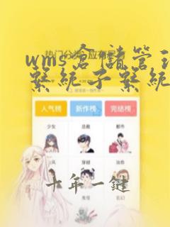 wms仓储管理系统子系统