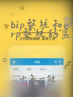 bip系统和erp系统的区别