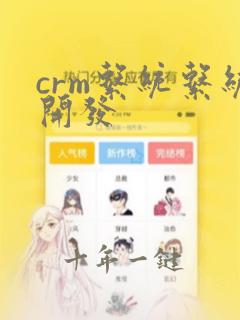 crm系统系统开发