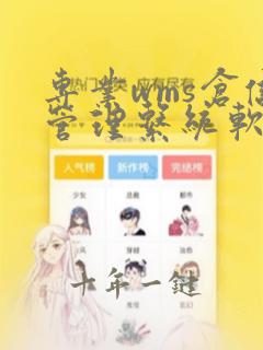 专业wms仓储管理系统软件