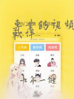 专业的视频编辑软件