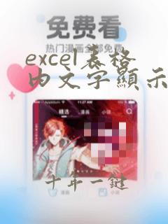 excel表格内文字显示不全