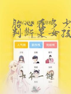 胎心在多少可以判断是女孩儿男孩儿