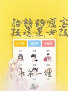 胎动的厉害是男孩还是女孩