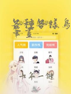 各种各样鸟的简笔画