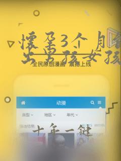 怀孕3个月能查出男孩女孩吗