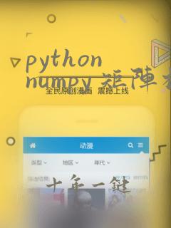 python numpy 矩阵相乘