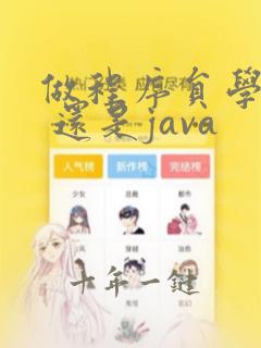 做程序员学c  还是java