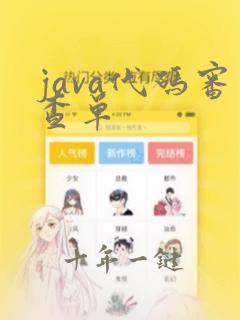 java代码审查单