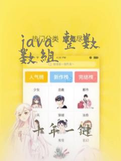 java 整数数组