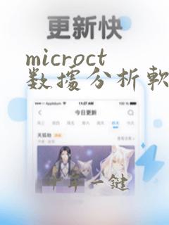 microct数据分析软件