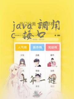 java 调用c  接口