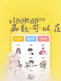 vlookup函数可以在两个excel表中匹配吗