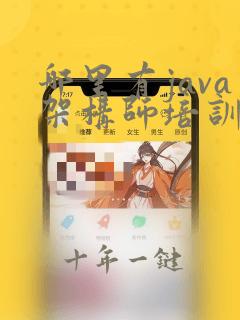 哪里有java架构师培训