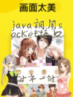 java调用socket接口