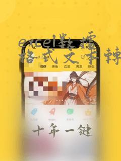 excel数据格式文本转换数据