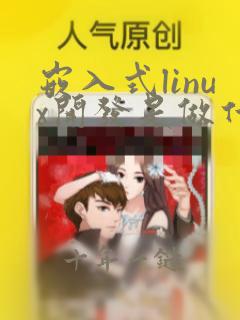 嵌入式linux开发是做什么的