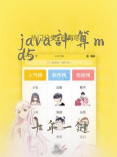 java计算md5