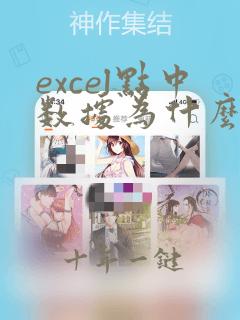 excel点中数据为什么在工具栏不显示