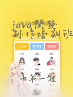 java开发 制作培训班