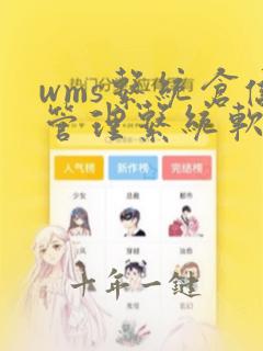 wms系统仓储管理系统软件