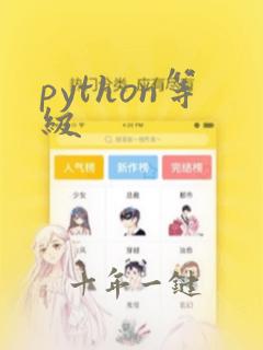 python等级