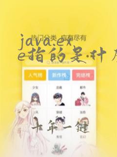 java.exe指的是什么