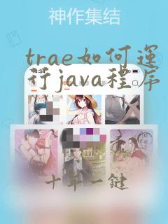 trae如何运行java程序