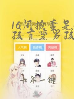 16周检查是女孩有变男孩的吗