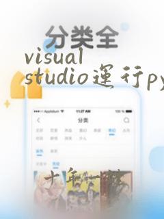 visual studio运行python