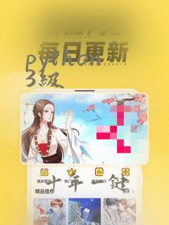 python 3级