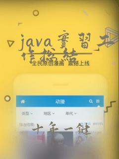java实习工作总结