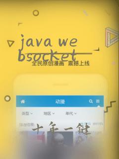 java websocket