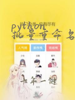 python 批量重命名文件