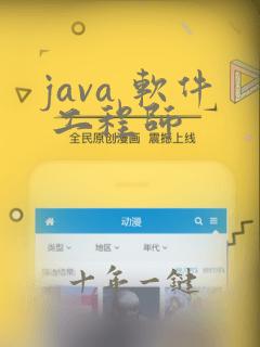java 软件 工程师