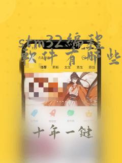 stm32编程软件有哪些