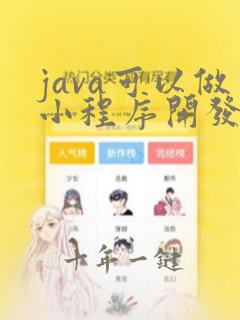 java可以做小程序开发吗