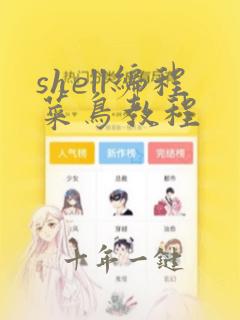 shell编程菜鸟教程