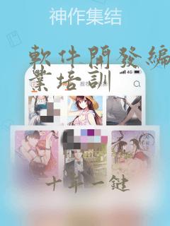 软件开发编程就业培训